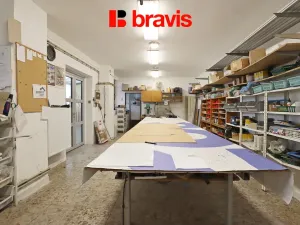 Pronájem skladu, Brno - Dolní Heršpice, Havránkova, 270 m2