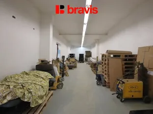 Pronájem skladu, Brno - Dolní Heršpice, Havránkova, 270 m2