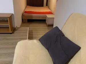 Pronájem bytu 1+kk, Brno, Palackého třída, 28 m2