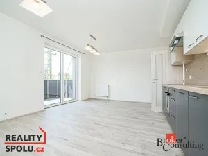 Pronájem bytu 1+kk, Heřmanova Huť - Vlkýš, U Pondu, 35 m2