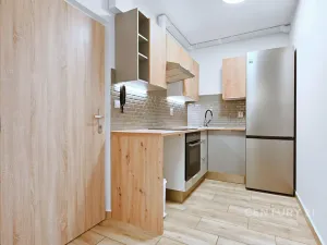 Pronájem bytu 2+kk, Chomutov, Holešická, 42 m2