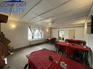 Prodej ubytování, Frýdlant nad Ostravicí - Nová Ves, 400 m2