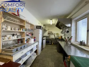 Prodej ubytování, Frýdlant nad Ostravicí - Nová Ves, 400 m2