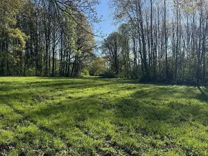 Prodej pozemku, Čížkov, 22012 m2