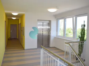Pronájem bytu 2+kk, České Budějovice - České Budějovice 5, E. Beneše, 53 m2