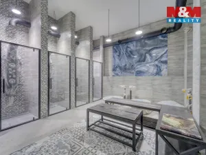 Prodej ubytování, Karlovy Vary, Foersterova, 650 m2