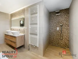 Prodej rodinného domu, Loket, Nad Hájovnou, 196 m2