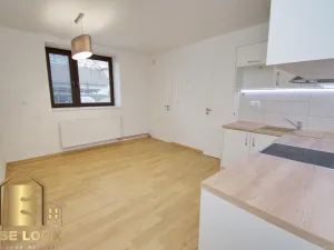 Pronájem bytu 2+kk, Černíkovice, 40 m2
