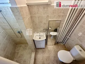 Pronájem bytu 1+kk, Ústí nad Labem - Ústí nad Labem-centrum, Moskevská, 21 m2