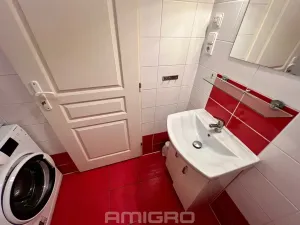 Pronájem bytu 2+kk, Brno, Traubova, 52 m2