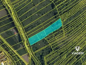 Prodej podílu pole, Javorník, 4763 m2