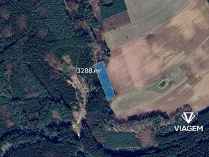 Prodej lesa, Konojedy, 3288 m2