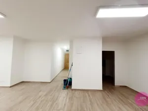 Pronájem skladu, Olomouc, Uhelná, 80 m2