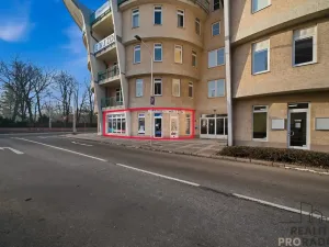 Prodej obchodního prostoru, Olomouc - Nová Ulice, Wellnerova, 65 m2
