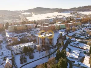 Prodej bytu 1+1, Větřní, Šumavská, 40 m2