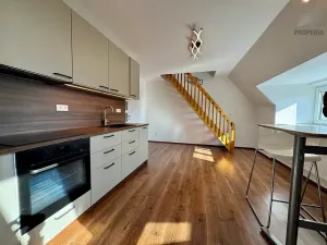 Pronájem bytu 2+kk, Brno, Mahenova, 50 m2