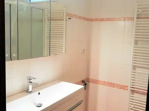 Pronájem bytu 1+kk, České Budějovice, Tylova, 39 m2