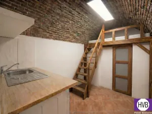 Prodej bytu 1+kk, Praha - Vinohrady, 16 m2