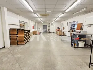 Prodej komerční nemovitosti, Opava, Slezská, 1385 m2