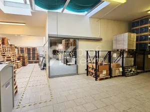 Prodej komerční nemovitosti, Opava, Slezská, 1385 m2