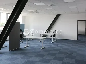 Pronájem kanceláře, Brno, 351 m2