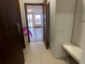 Pronájem bytu 1+kk, Olomouc, Edmunda Husserla, 30 m2