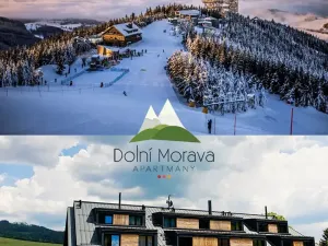 Prodej apartmánu, Dolní Morava, 48 m2