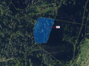 Dražba lesa, Žďárec, 2813 m2