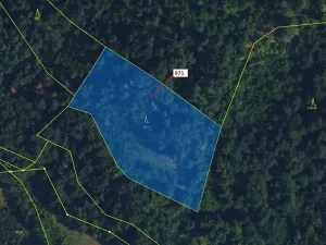 Dražba lesa, Lhota Rapotina, 4308 m2