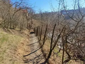 Dražba rodinného domu, Hartvíkovice, 87 m2