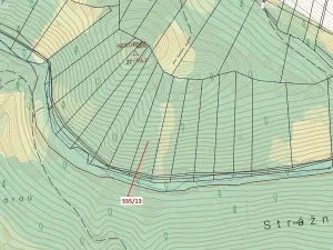 Dražba lesa, Vranová Lhota, 5798 m2