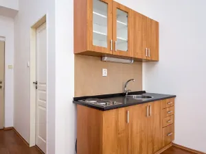 Pronájem bytu 1+kk, Praha - Žižkov, Vlkova, 25 m2