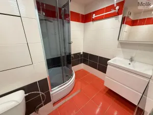 Pronájem bytu 2+1, Bílina - Pražské Předměstí, Aléská, 49 m2