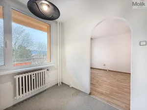 Pronájem bytu 2+1, Bílina - Pražské Předměstí, Aléská, 49 m2