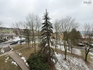 Pronájem bytu 2+1, Bílina - Pražské Předměstí, Aléská, 49 m2