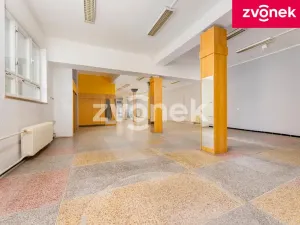 Prodej obchodního prostoru, Uherský Brod, 700 m2