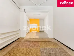 Prodej obchodního prostoru, Uherský Brod, 700 m2