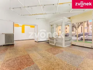 Prodej vily, Uherský Brod, Masarykovo nám., 700 m2