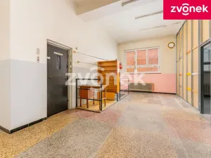 Prodej vily, Uherský Brod, Masarykovo nám., 700 m2