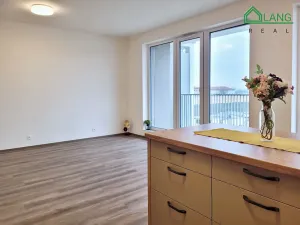 Pronájem bytu 3+kk, Brno, Rybářská, 72 m2