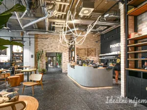 Pronájem bytu 1+kk, Brno, Bratislavská, 29 m2