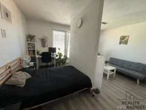 Pronájem bytu 1+kk, Brno, Milady Horákové, 40 m2