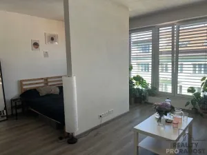 Pronájem bytu 1+kk, Brno, Milady Horákové, 40 m2