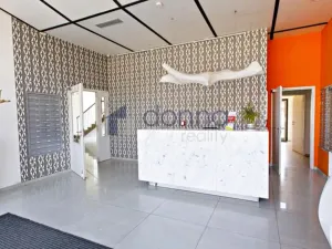 Pronájem bytu 2+1, Praha, Molákova, 42 m2