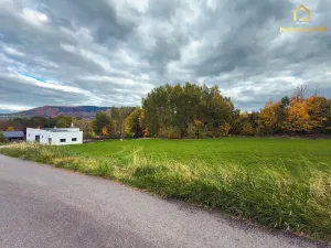 Prodej pozemku pro bydlení, Raškovice, 1581 m2