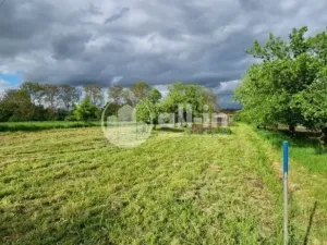 Prodej sadu/vinice, Tištín, 1062 m2