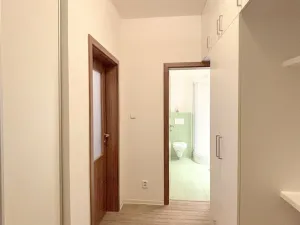 Pronájem bytu 1+kk, Olomouc, Okružní, 36 m2