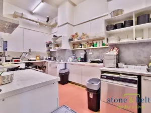 Prodej obchodního prostoru, Praha - Troja, Lodžská, 254 m2