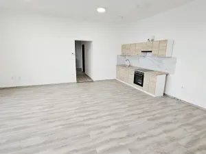 Pronájem bytu 2+kk, Lovosice, 8.května, 61 m2