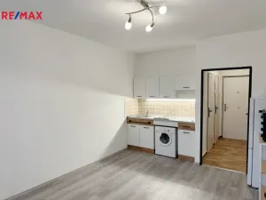 Pronájem bytu 1+kk, Praha - Braník, Nad lesním divadlem, 23 m2